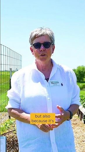 What to Grow and When in Straw Bale Gardening