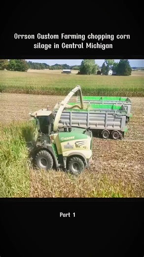 Orrson Custom Farming chopping corn silage in Central Michigan #corn #celina #dairy #mowing #chopping