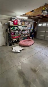 garage bed is cold…no but fr the cat peed on my bed and now its in garage limbo