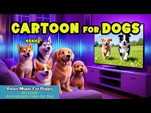 Dog Cartoon: TOP Entertain & Relaxing for Dogs When Home Alone | In Color They Can See 💗🐾