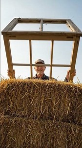 Don't Toss That Old Window! Here's Why | Garden DIY Hacks #советысадоводу #garden #садоводничество