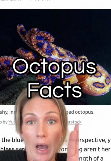 Exploring Fascinating Facts About Octopuses