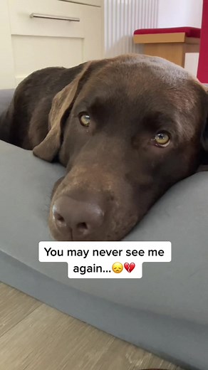 it’s sad….😐💔