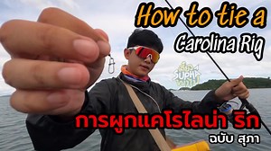 123K views · 4.2K reactions | วิธีผูกแคโรไลน่า ริก How to tie a Carolina Rig | เดี๋ยวSuphaพาไป | เดี๋ยว Supha พาไป | Facebook