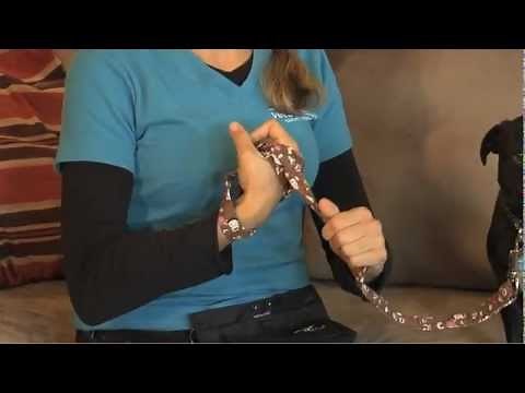 How to Properly Hold a Leash