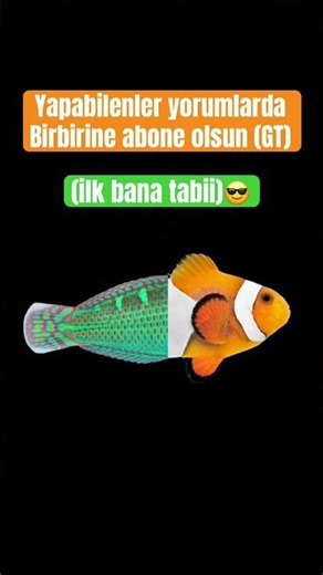 Complete Finding Nemo #pleasefeaturemeonyoutube