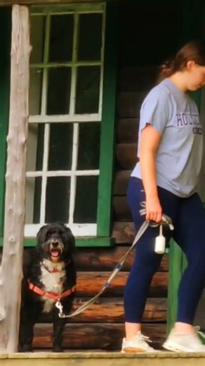 Some things are just for looking.#historic #public #history #landmark