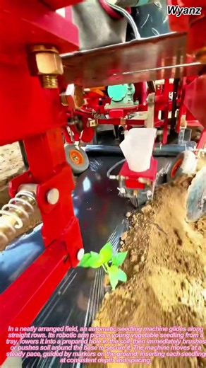 automatic seedling machine planting and covering soil | daily farm work routine