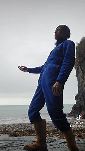 4.4K views · 172 reactions | Morning Everybody 藍 | MR FISH | Facebook