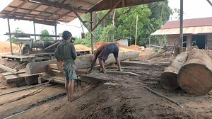 2.8K views · 50 reactions | The process of woodworking #sawmill | Sawmill indonesia | Facebook