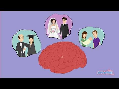 How are Memories Stored and Retrieved? Curious Questions with Answers | Educational Videos by Mocomi