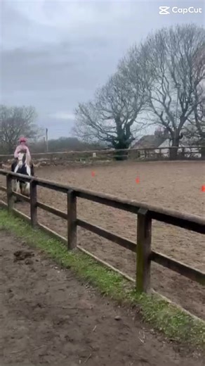 He’s so cool @paigeshaw0