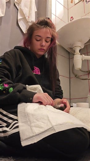 A PILE OF TRASH KITTENS DAY 10.5 #volunteer #cat #funnycats #animalrescue #kitty #kitties