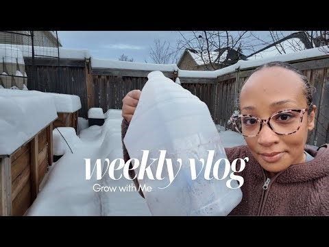 Start Winter Sowing Now (No Lights!)