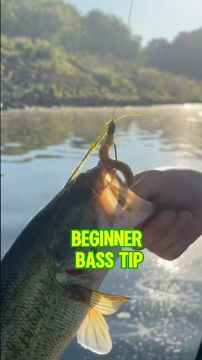 Beginners Guide - HOW To Catch BASS! 🎣🐟 #shorts #fishing #bassfishing