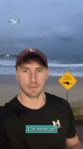 Our final wrap up on today’s horrific series of events, with a surfer still fighting for his life after a shark attack at Manly. We salute those that have given him a fighting chance of life. All Northern Beaches remain closed. Updates on our website. | Manly Observer