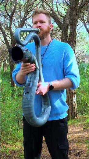 This Didgeridoo Vibration Feels Like Pure Calm #shorts