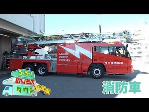 ゴーゴー！のりものタウン探検隊2025 #03 消防車