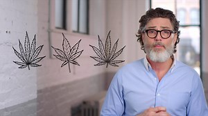 What is a strain