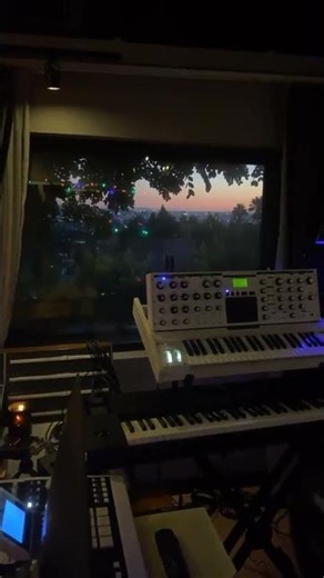 Charlie Puth via Instagram Story / November 10 2020