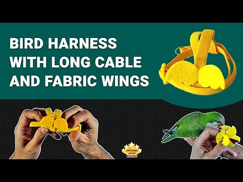 Bird Harness with an Adjustable Leash and Angel Wings 🦜