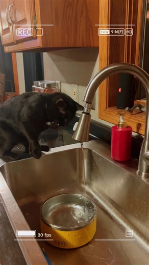 Laura Zerilli (@laurazerilli99)’s videos with Sound of Calm - Cloudy Skies