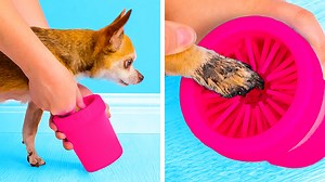 192K views · 2.2K reactions | Smart gadgets for dirty paws.  Cute and funny pet hacks that will make your life easier: | 5-Minute Crafts Family | Facebook