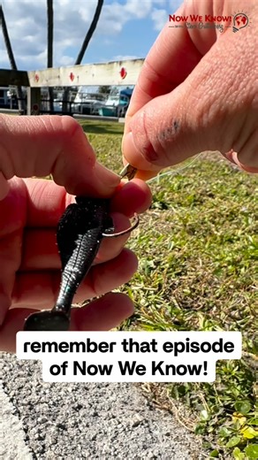 Now We Know! TV with Steve Guttenberg on Instagram: "Fishing for peace… caught salmon & steelhead facts instead. 🎬 Watch the full episode on our YouTube channel, link in bio! #nowweknow #reels #salmon #steelhead"