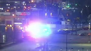 Police arrest 14 people for incident at Bayshore Mall