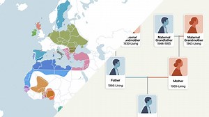 Increase Discoveries by Attaching your AncestryDNA® to a Family Tree