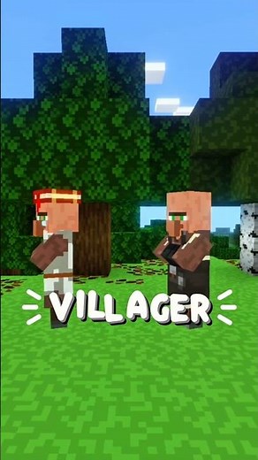 Which Villager Gives the Best Trades?🤔 In Minecraft |#shorts #youtube #minecraft #gaming