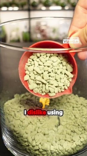 The ONLY Materials You Need For a Terrarium