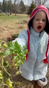 458K views · 41K reactions | Eating fresh parsley from the garden | CookingwithSammy | Facebook