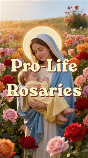 🙏Pro-Life RosariesㅣThe Joyful Mysteries 1st Dec. (2)💝A prayer full of grace