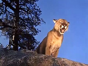 Alias Smith and Jones - Se1 - Ep12 HD Watch