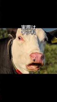 名前がややこしい動物！！