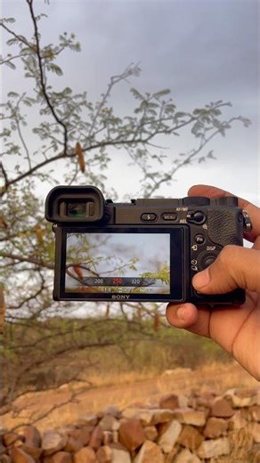 Sony A6400 with 50mm 1.8f lens photography test📸 #sony #photography #viral
