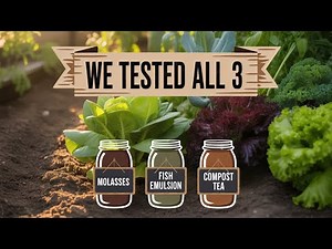 Molasses, Fish Emulsion, or Compost Tea — Which Grew the Biggest Crops?