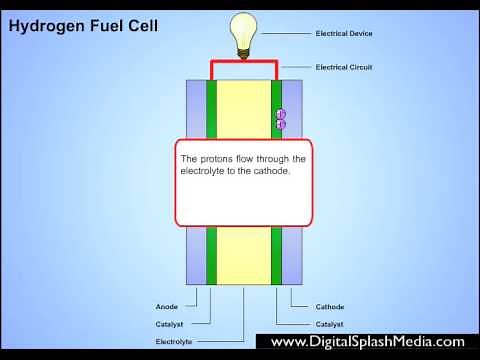 Hydrogen Fuel Cell