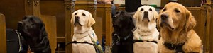 Canada | Courthouse Dogs® Foundation