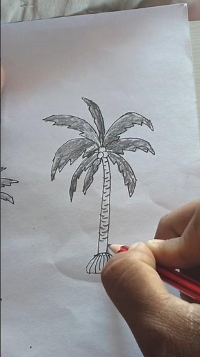 #coconut #tree #drawing