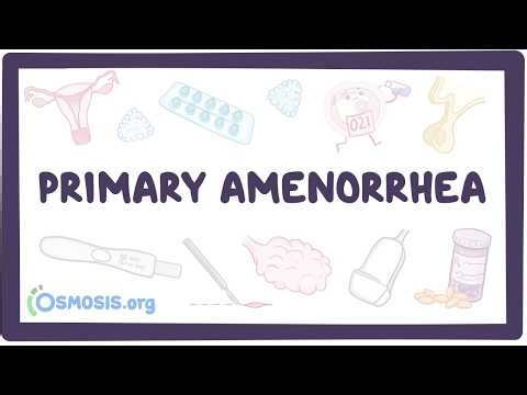 Primary amenorrhea - physiology, pathology, diagnosis, treatment