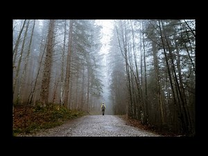 The Irrepressibles - In This Shirt (with Lyrics) / 4K HQ