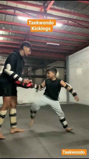 taekwondo kids kickings Aera E Dasmarinas cavite