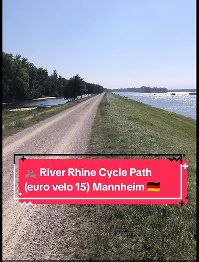 🚲 River Rhine Cycle Path (euro velo 15) nr Mannheim 🇩🇪 #eurovelo #germany #cycle #riverrhine #fyp | Pedals and Peaks