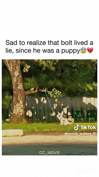 Bolt's Misadventures: Discovering Reality