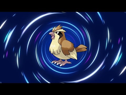 Pidgey Evolution Line!