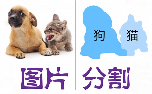 【中文字幕】3D-图像分割超详细教程U-Net