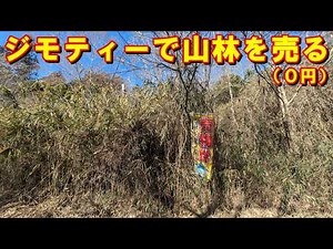 ジモティーで山林を売る【０円】