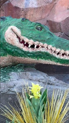 Crocodile rainforest cafe animatronic fail :( 🐊 #crocodile #rainforest